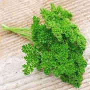 Green Parsley Seeds, Herbal