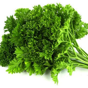 Moss Curled Parsley Seeds, Herbal