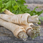 Harris Parsnip Seeds
