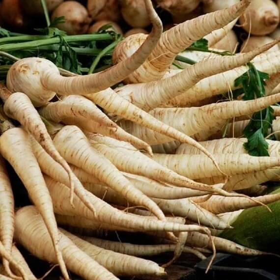 Harris Parsnip Seeds
