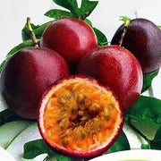 Dark Red Passion Seeds