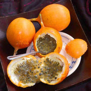 Passiflora edulis Orange Passion Seeds