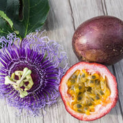 Passiflora edulis Purple Pink Passion Seeds