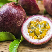 Maroon Red Passion Seeds