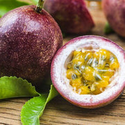 Passiflora edulis Purple Pink Passion Seeds