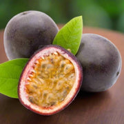 Dark Purple Passion Seeds