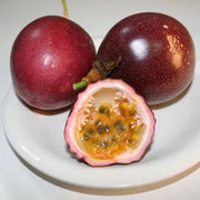 Dark Red Passion Seeds