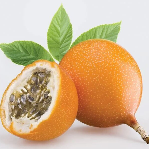 Passiflora edulis Orange Passion Seeds