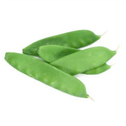 Oregon Sugar Pea Seeds
