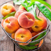 Nemaguard Peach Seeds