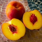 Red Yellow Peach Seeds