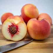 Babcock Peach Seeds