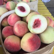 Georgia Belle Peach Seeds