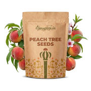 Peach Tree Seeds – Prunus persica