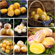 Pear Melon Seeds