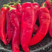 Red Wax Pepper Seeds