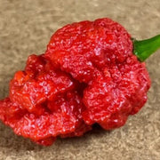 Hurt Pepper Berry Seeds