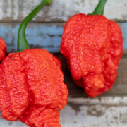 Hurt Pepper Berry Seeds