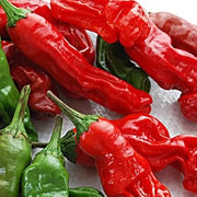 Green Chili Willy & Peter Pepper Seeds