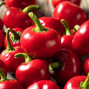 Cherry Pepper Seeds