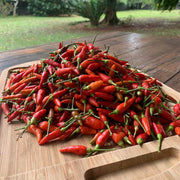 Guam Boonies Pepper Seeds