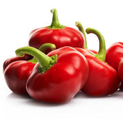 Nora Pepper Seeds
