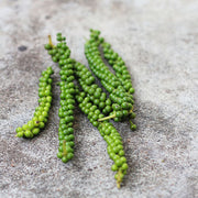 Green Pepper Seeds