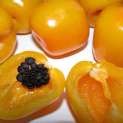 Manzano Pepper Seeds