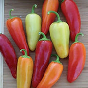Santa Fe Grande Pepper Seeds