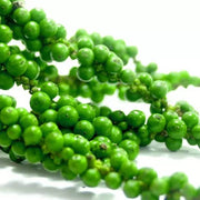 Green Pepper Seeds