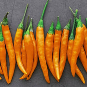 Orange Pepper Seeds