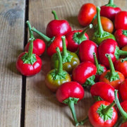 Cherry Bomb Pepper Seeds