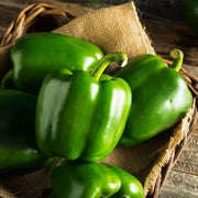 Green Plaza Pepper Seeds