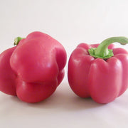 Pink Pepper Seeds