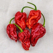 Trinidad Pepper Seeds
