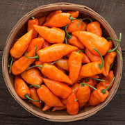 Habanada Pepper Seeds