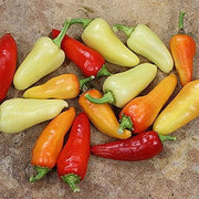 Santa Fe Grande Pepper Seeds