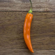 Orange Pepper Seeds