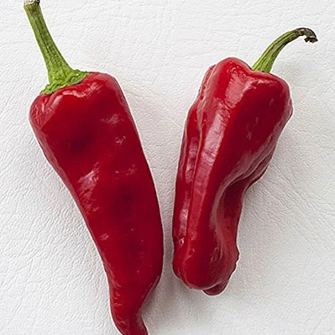Gernika Pepper Seeds