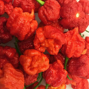 Hurt Pepper Berry Seeds