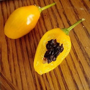 Manzano Pepper Seeds
