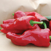 Melrose Pepper Seeds