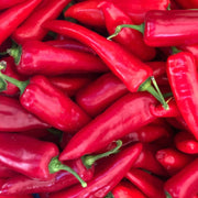 Red Wax Pepper Seeds