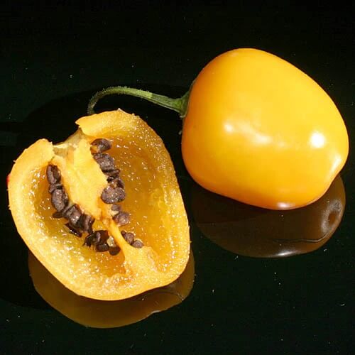 Rocoto Yellow Pepper Seeds