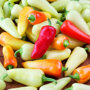 Santa Fe Grande Pepper Seeds