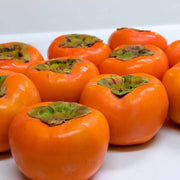 Fuyu Persimmon Seeds