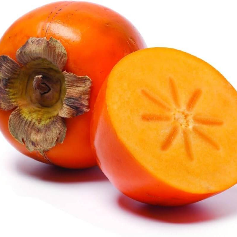 Fuyu Persimmon Seeds
