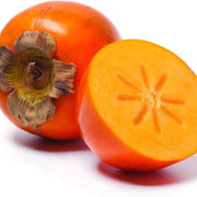 Fuyu Persimmon Seeds