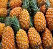 Orange Pineapple Seeds