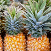 Queen Victoria Pineapple Seeds